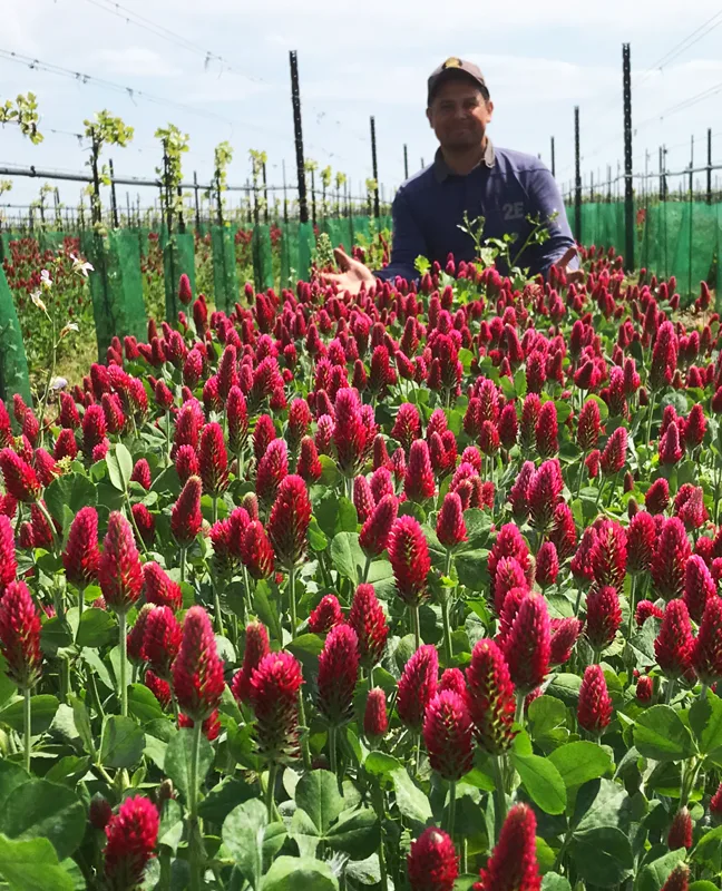 EVA & BERTHOLD HAIDER