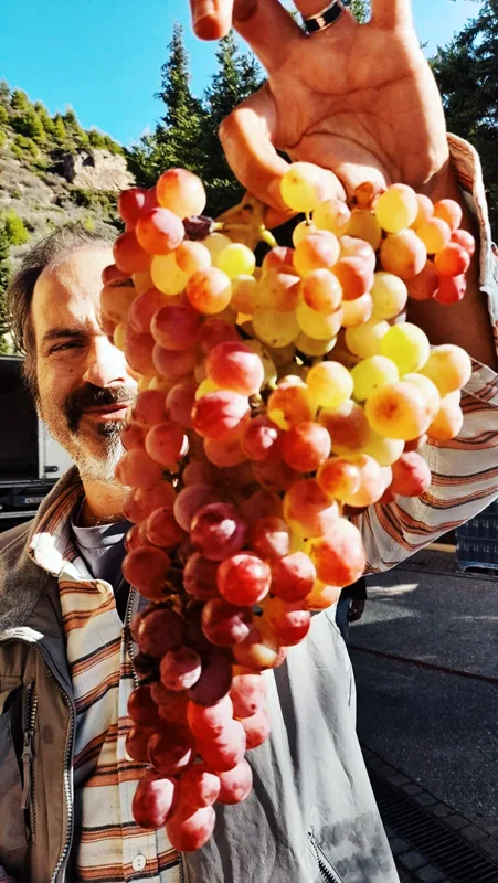 Mira Winzerin Tschechien