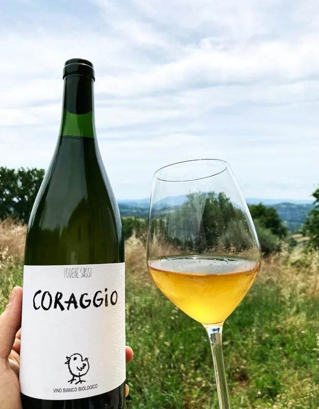 PODERE SASSI Winzer Italien