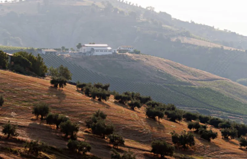 AUSONIA AZIENDA AGRICOLA