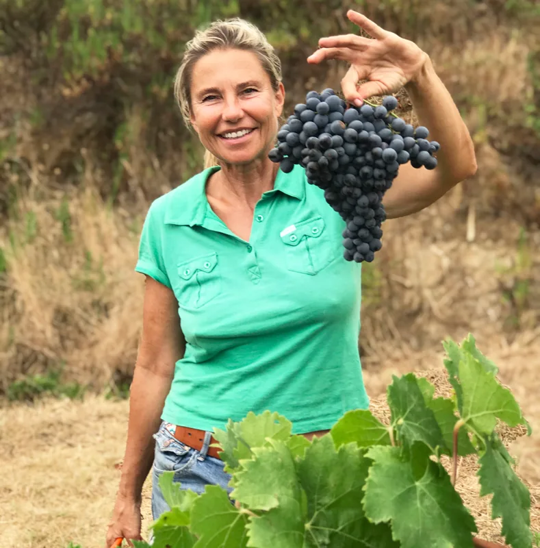 CLOS DES B Provence - Frankreich Winzer vigaraz