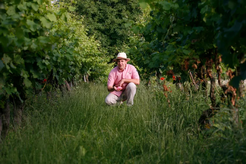 Naturwein Deutschland