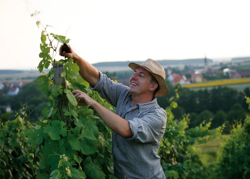Naturwein Deutschland