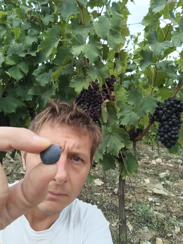 Podere Erica Naturwein Italien